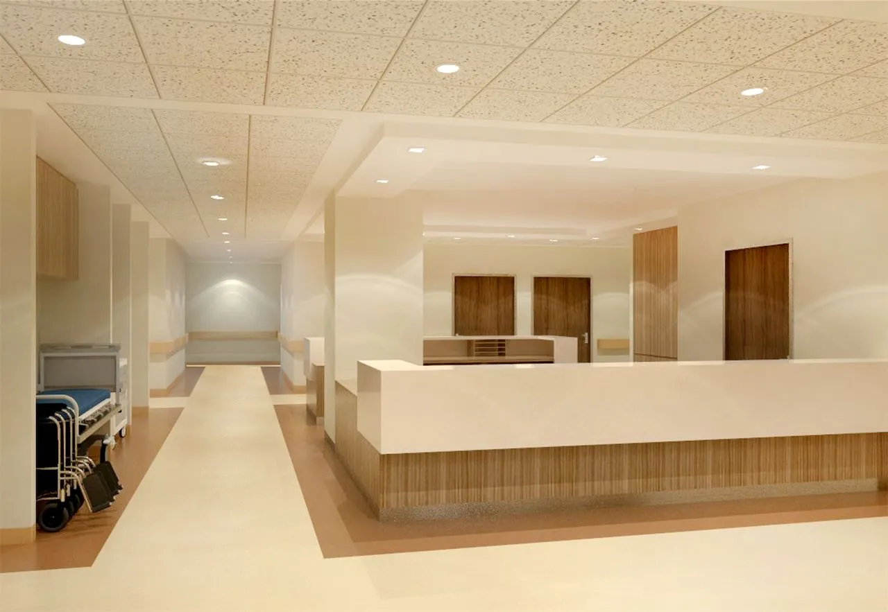 Vicente Sotto Hospital Expansion